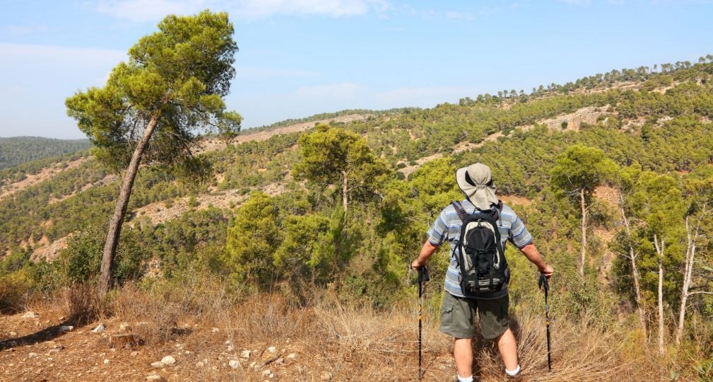 Фото: Shutterstock